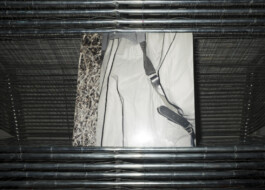 Tatjana Stürmer, LP artwork luxxuryproblems Tatjana Stürmer